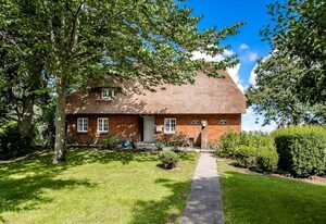 Reetdachhaus inmitten von Wiesen und Feldern