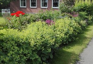Ferienhof Kardel