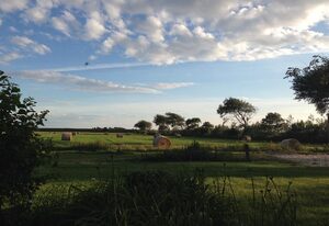 Ferienhof Landblick – Friesennest