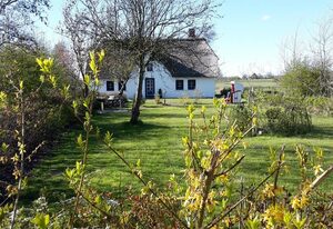 Ferienhaus Deichgraf