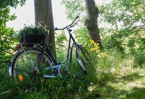 Ferienhof Harmonie – Weitblick