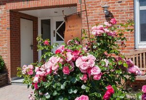 Ferienhof Harmonie – Weitblick