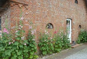 Liethshof – Liethshof Wohnung 1