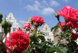 Pension Marktblick - bed & breakfast – Einzelzimmer