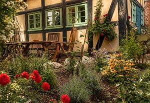 Idyllisches Ferienhaus Nähe Dümmer See | Auszeit | Sauna | Natur