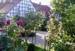 Hof Timmermann – Spatzennest