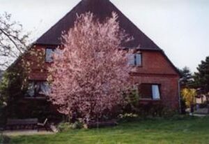 Hof am See – Variante 1: Ferienwohnung, 1.OG, 1 Wohn-Schlafraum