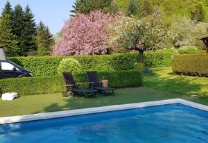 Poolhaus im Südharz