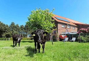 Ferienhof Janssen in Westerholt – Ferienwohnung