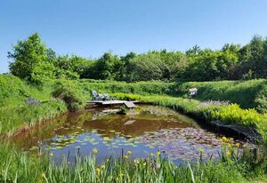 Landidylle Kramer in Utarp – Ferienwohnung Mohnblume