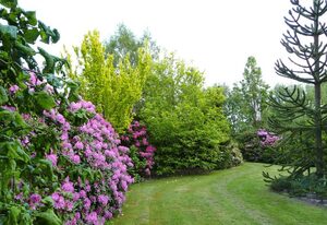 Landidylle Kramer in Utarp – Ferienwohnung Mohnblume