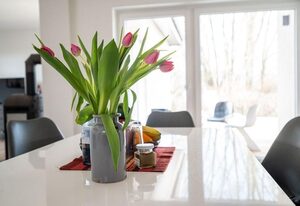 Ferienhaus Schilfblick