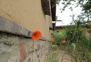 Lehmkloster – Einzelzimmer Augustina