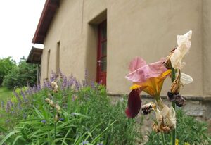Lehmkloster – Einzelzimmer Augustina