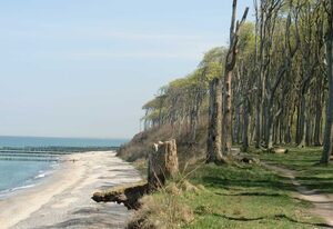 Ferienhaus Anna  Ostseebad Nienhagen – Ferienhaus Nienhagen Anna