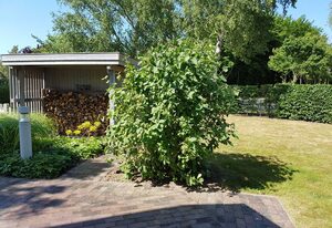 Quäkenpüker Kamin · Haustiere · nur 750 m Strand – Unterkunft Quäkenpüker