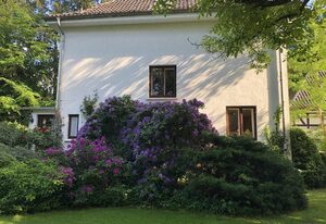Ferienhaus Hudemühlen – Ferienhaus, Bad, WC, 2 Schlafräume