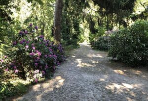 Ferienhaus Hudemühlen – Ferienhaus, Bad, WC, 2 Schlafräume