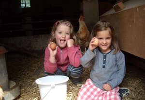 Ferienhof Cohrs – Doppelzimmer