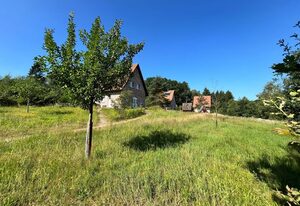 Haus Weißdorn im Bispinger Heidezauber