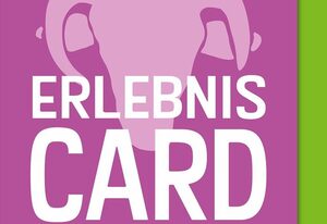 Dat lütte Heidehotel Funk – Einzelzimmer