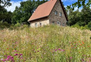 Bispinger Heidezauber - Haus Felsenbirne