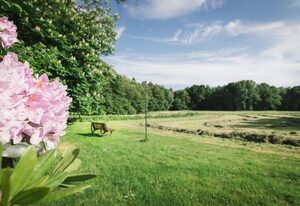 Hof Böhmetal, Ferienwohnungen – FeWo, Du/WC, 75 m², 1 DB, OG, Eichenblick