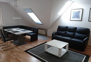 Aktivstall Soltau – Blick auf die Wallachherde