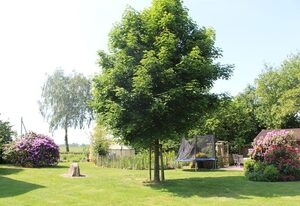 Hof Meyer, Ferienwohnung – Appartement/Fewo, Dusche, WC, 1 Schlafraum