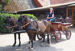 Scholbe, Ferienhof – FeWo, Du/WC, 72 m², 1 DZ, 2 ZZ, EG, Heidschnucke