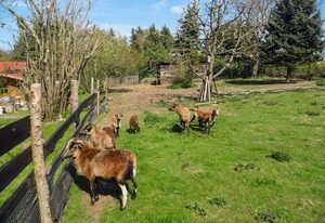 Ferien auf dem Lande – Ferienwohnung