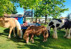 Ferienhof Veit – 4 Ferienwohnung Steinerne Rinne