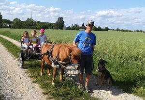 Ferienhof Veit – 4 Ferienwohnung Steinerne Rinne