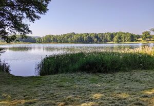 Ferienhaus Fuchs & Hase am Schönlager See