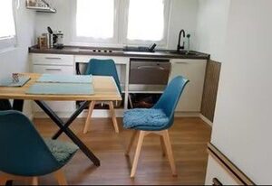 Tiny Haus C235 Wacholderdrossel