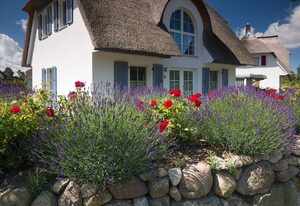 Ferienhaus Schilfrohrsänger 28