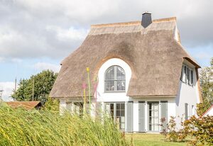 Ferienhaus Schilfrohrsänger 54