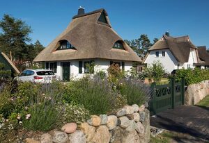 Ferienhaus Seeadler 9