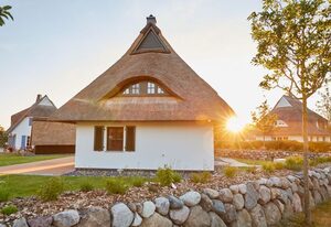 Ferienhaus Seeadler 42