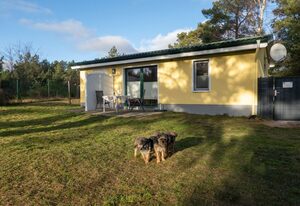 Hundeparadies "Bodden Paradise Cottage"