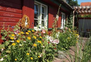 Reetdach - Promenadenblick - 500m zum Strand – Reetdach Fewo