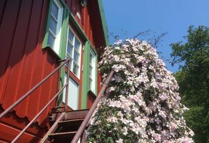 Reetdach - Promenadenblick - 500m zum Strand – Reetdach Fewo