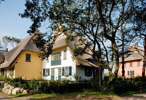 Dünenmeer Ferienhäuser