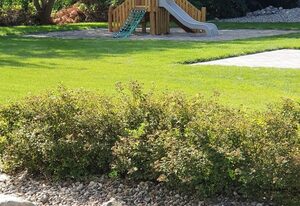 GRONERS Ahrenshoop - Ferienwohnung XL mit Terrasse und Sauna