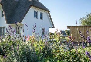 Ferienhaus Seeschwalbe 60