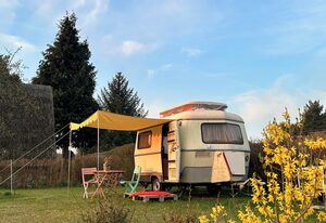 Radlerhorst