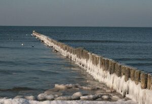 Gemütliches Ferienhaus mit eigener Terrasse