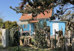 Ferienhaus Dünenhaus Nr. 6 - ID 147422