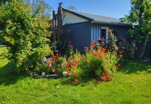 Cathrins Boddenblick