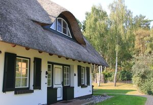Reetgedecktes Ferienhaus
